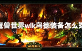 wlk鸟德装备（WLK鸟德装备好拿吗）