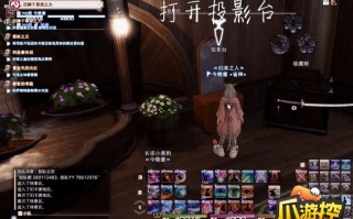 ff14在哪装备染色（ff14投影的装备怎么染色）