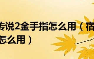 psp宿命传说2全装备金手指（psp宿命传说2隐藏要素）